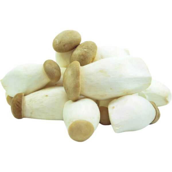 Baby King Oyster Mushroom