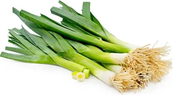 Bunch of fresh baby leeks with roots and sliced ends on a white background.