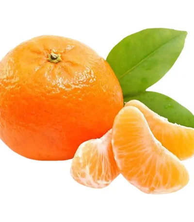 Baby Mandarin