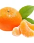 Baby Mandarin