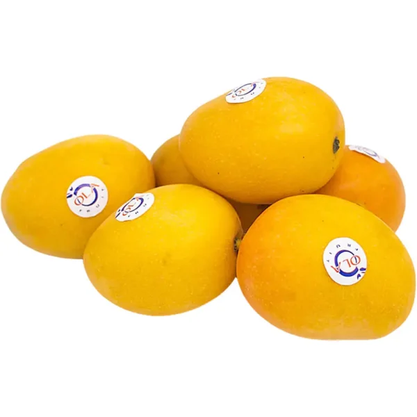 Baby Mango Colombia