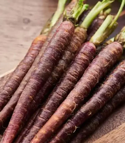 A bunch of fresh baby purple carrots with green tops on a wooden surface.