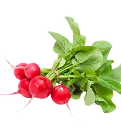 Bunch of fresh baby radishes with vibrant red roots and green leaves