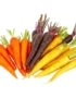 Pile of colorful baby rainbow carrots: orange, yellow, and purple