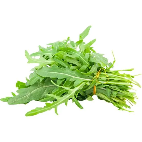 Bunch of fresh baby arugula with thin stems tied with yellow string