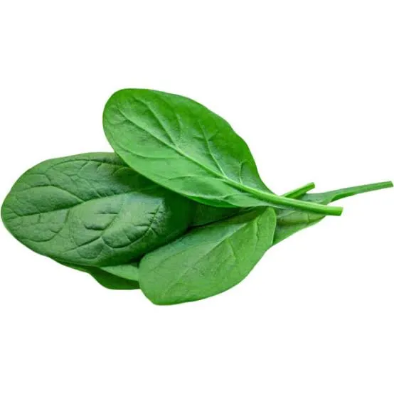 Fresh baby spinach leaves on a white background