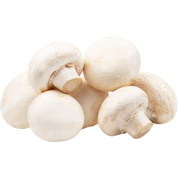 Baby White Mushroom