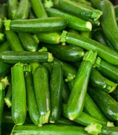 A pile of fresh, baby zucchini, showcasing their vibrant green color.