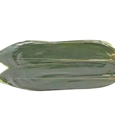 Two fresh bamboo leaves wrapped in plastic