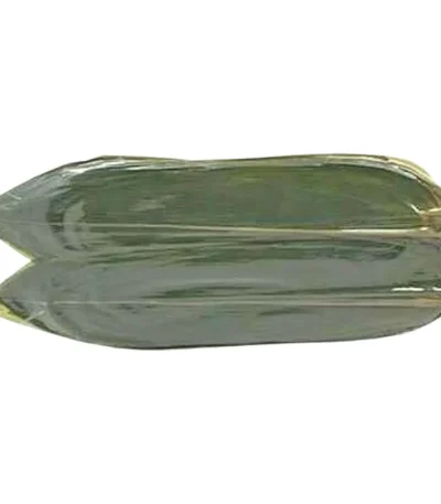 Bamboo Leaves