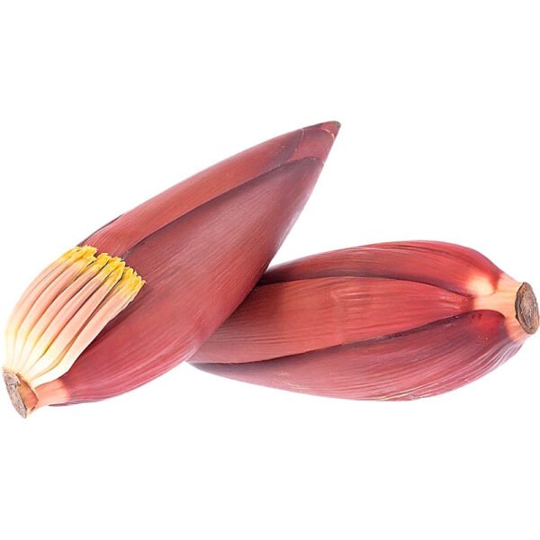 Banana Blossom Flower