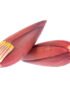 Banana Blossom Flower