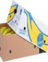 Banana Chiquita Box