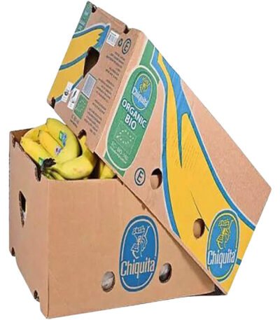Banana Chiquita Box Organic