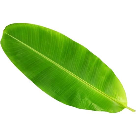 Banana Leaf