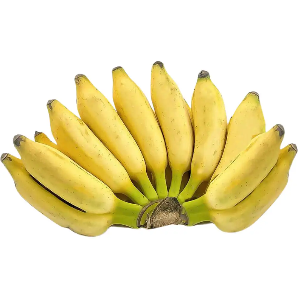 Banana Small Banana Small