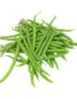Beans Green Fine Kenya