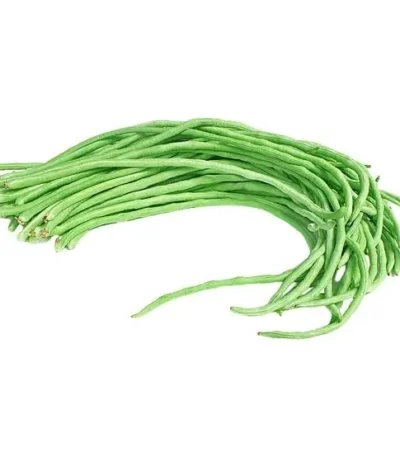 A bunch of fresh, green long beans tied together.