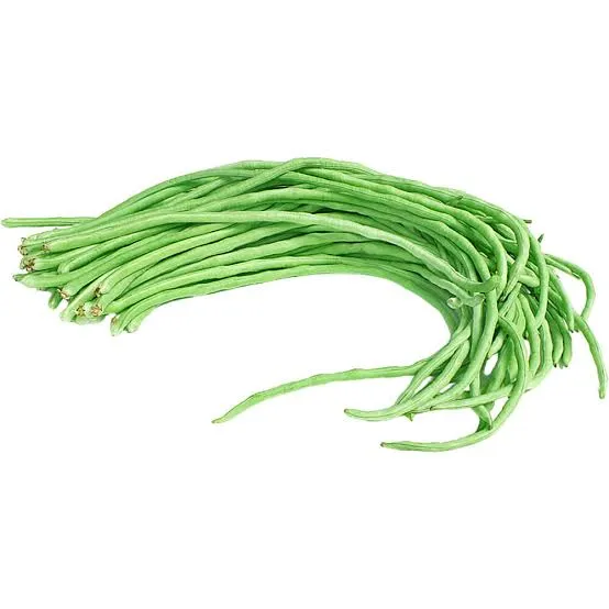 A bunch of fresh, green long beans tied together.
