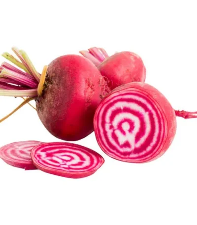 Beetroot Chioggia