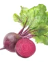 Beetroot Organic