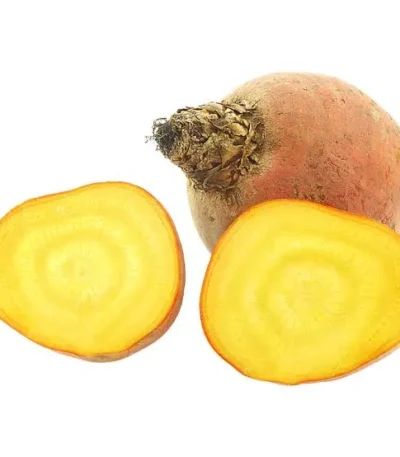 Beetroot Yellow Netherlands