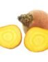 Beetroot Yellow Netherlands