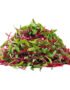Beetroot – Microgreen Cut