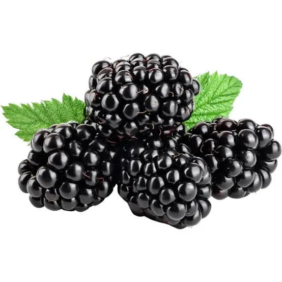 Fresh blackberries with green leaves