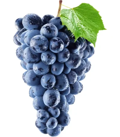 Black Grapes