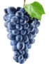 Black Grapes