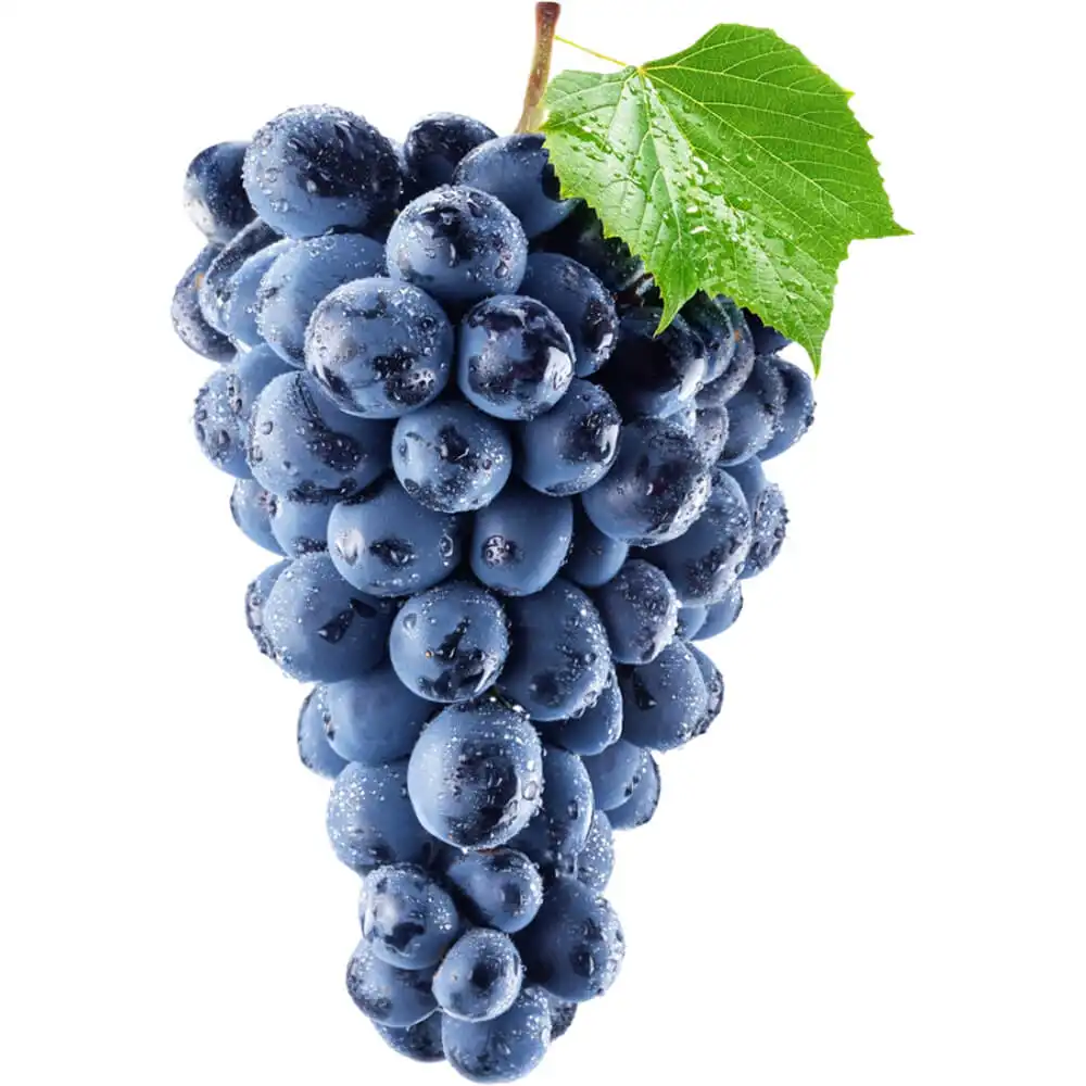 Black Grapes Black Grapes