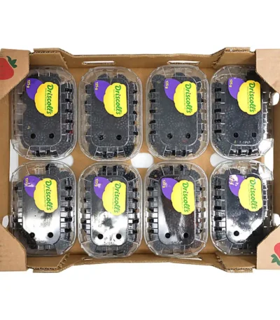Blackberry Box