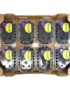 Blackberry Box