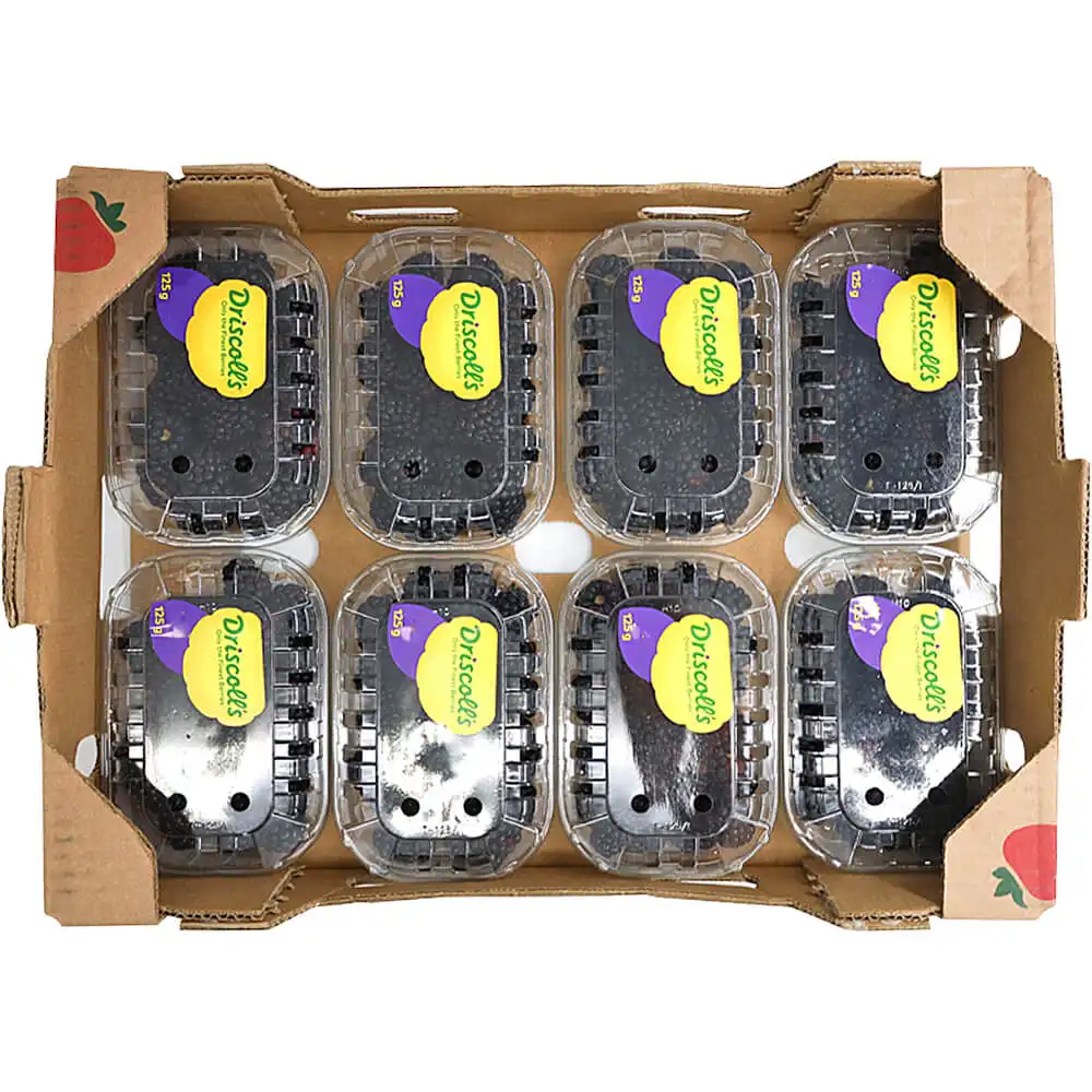 Blackberry Box Blackberry Box
