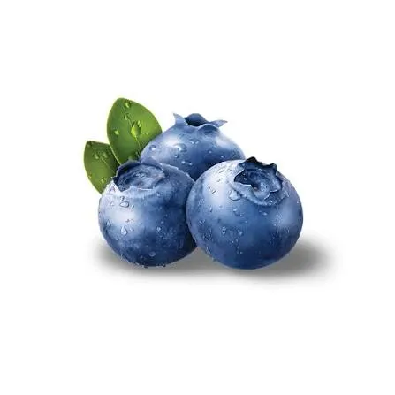 Three ripe blueberries with water droplets and green leaves.