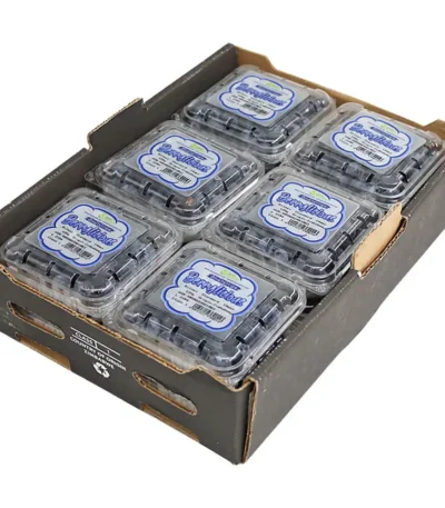 Blueberry Box