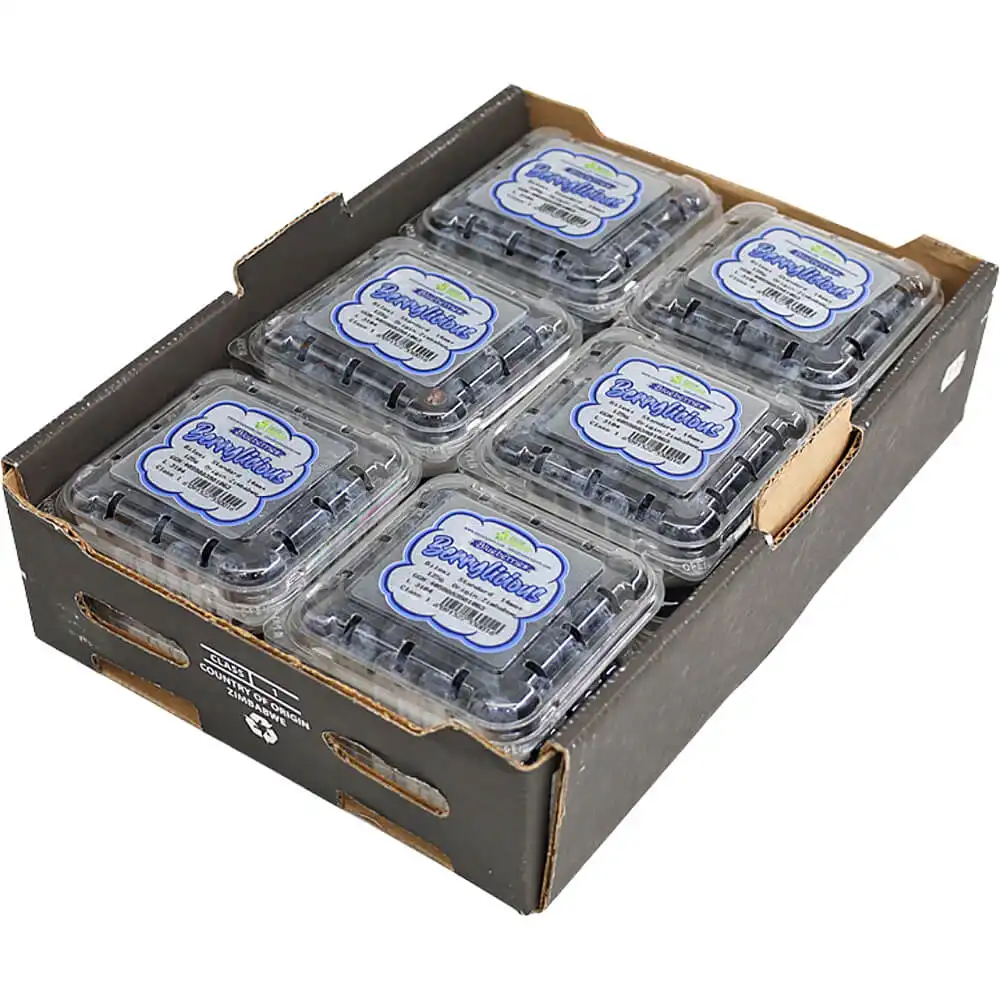 Blueberry Box Blueberry Box