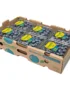 Blueberry Driscoll’s Box