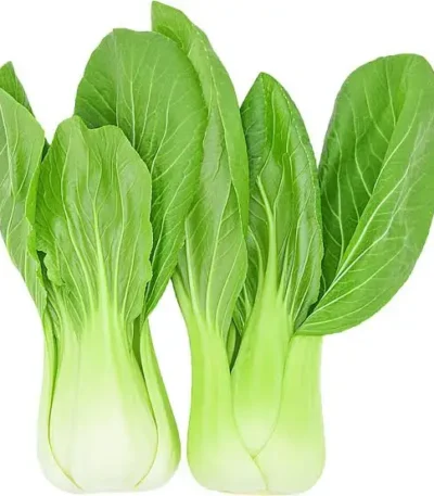 Bok Choy Holland
