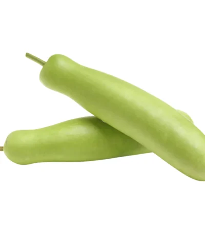 Bottle Gourd