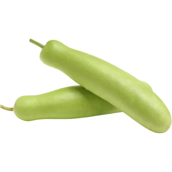 Bottle Gourd