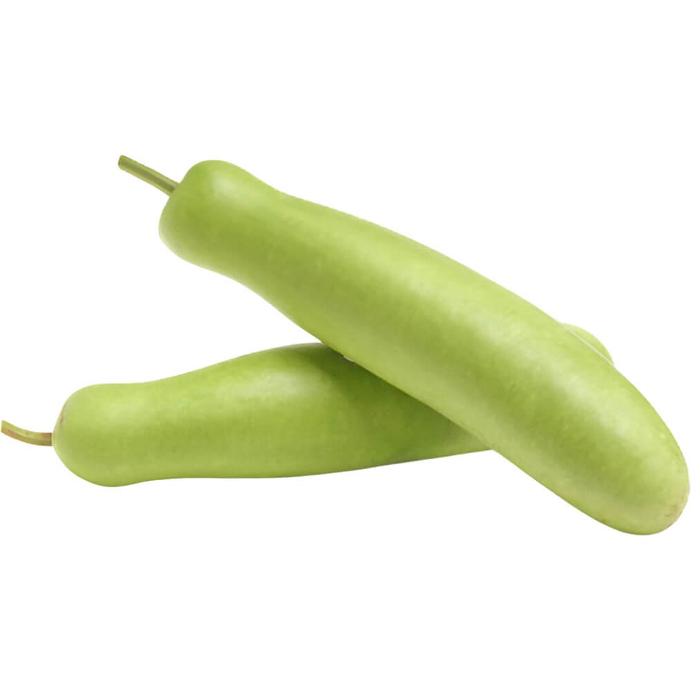 Bottle Gourd Bottle Gourd