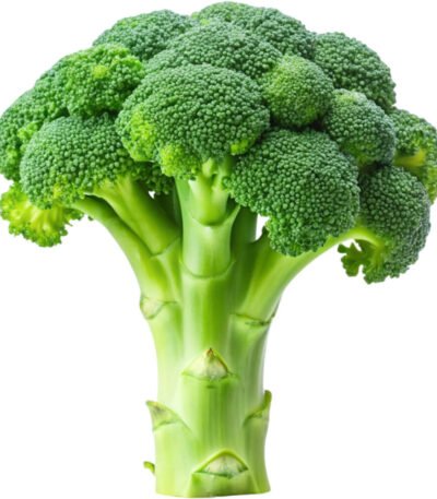 Broccoli