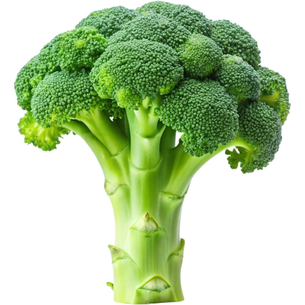 Broccoli