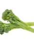 Broccolini