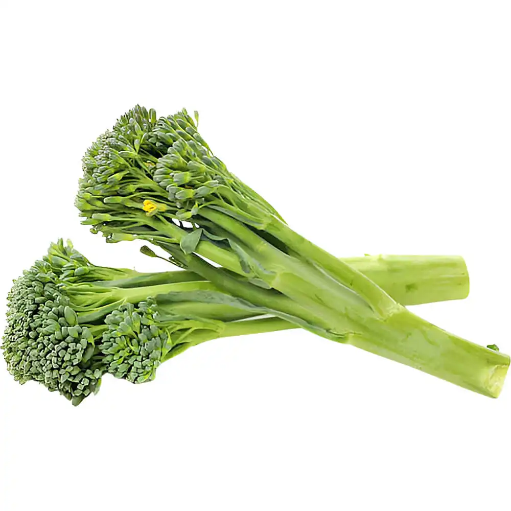 Broccolini Broccolini