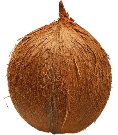 Brown Coconut