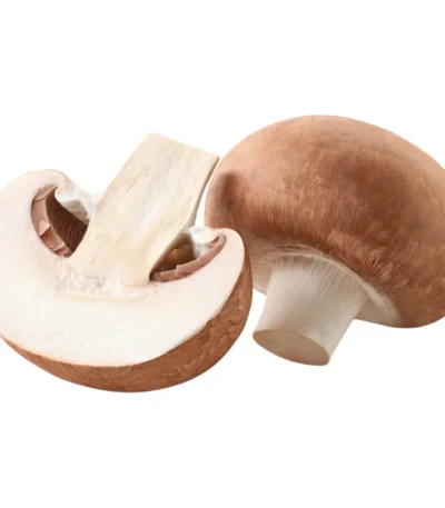 Brown Mushroom