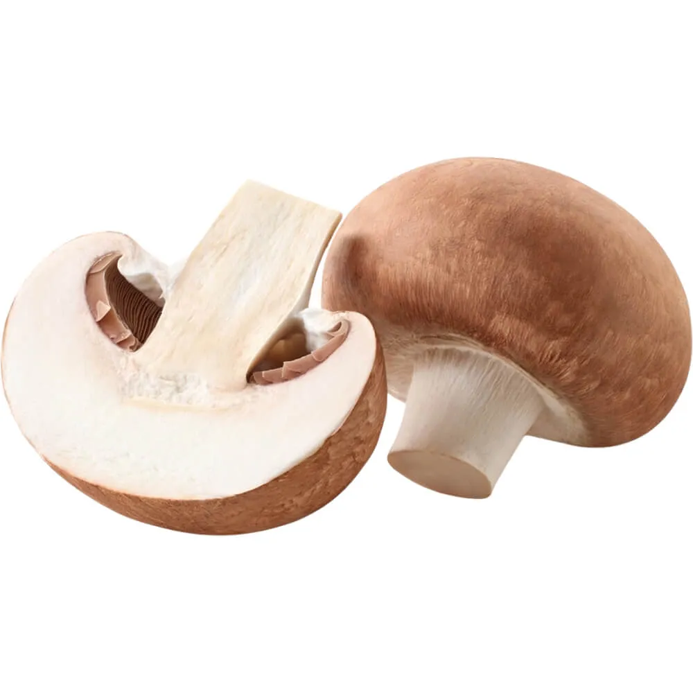 Brown Mushroom